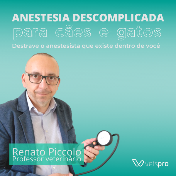 Curso profissionalizante de anestesia em cães e gatos