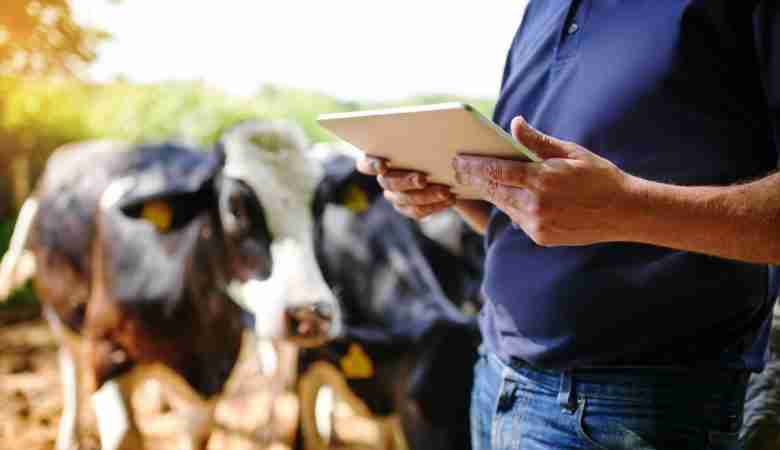 Curso de Bovinocultura Leiteira - Agriconline