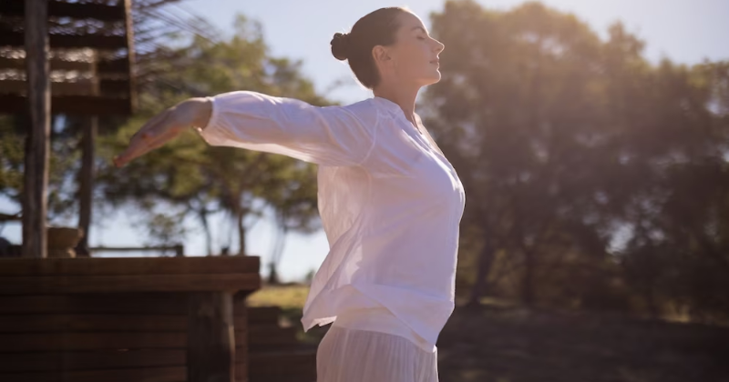 Tai Chi em Casa - Renato Li
